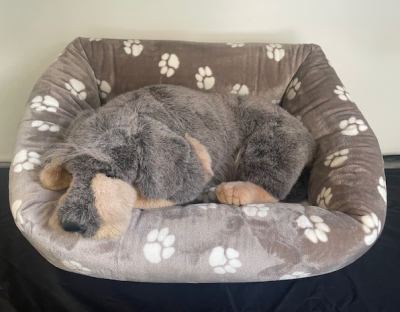 Kuschelbett - Supermini Pfote taupe 75x60 cm außen